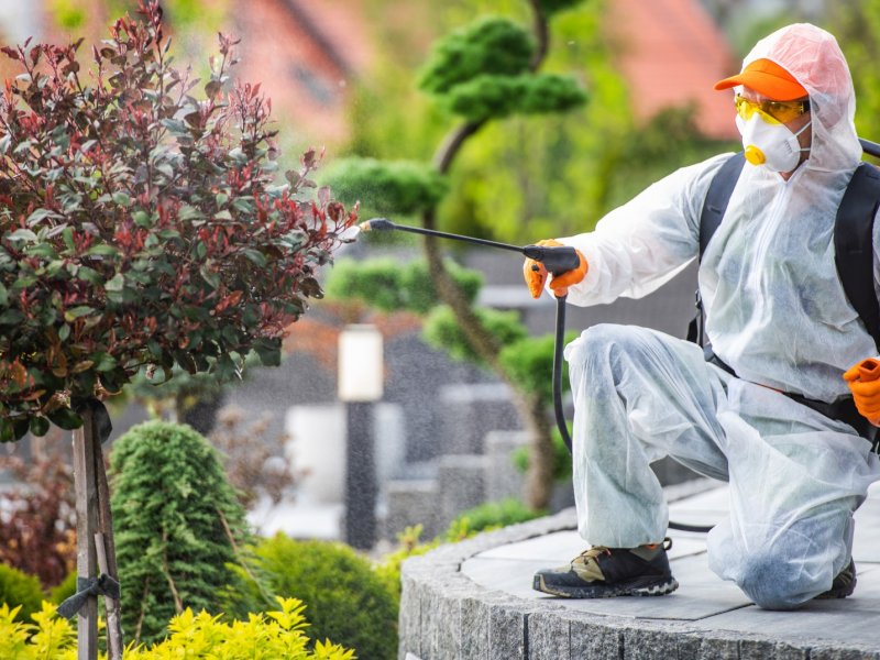 Akseki Haşere İlaçlama